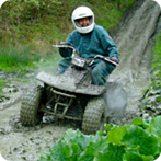 Quad Bikes